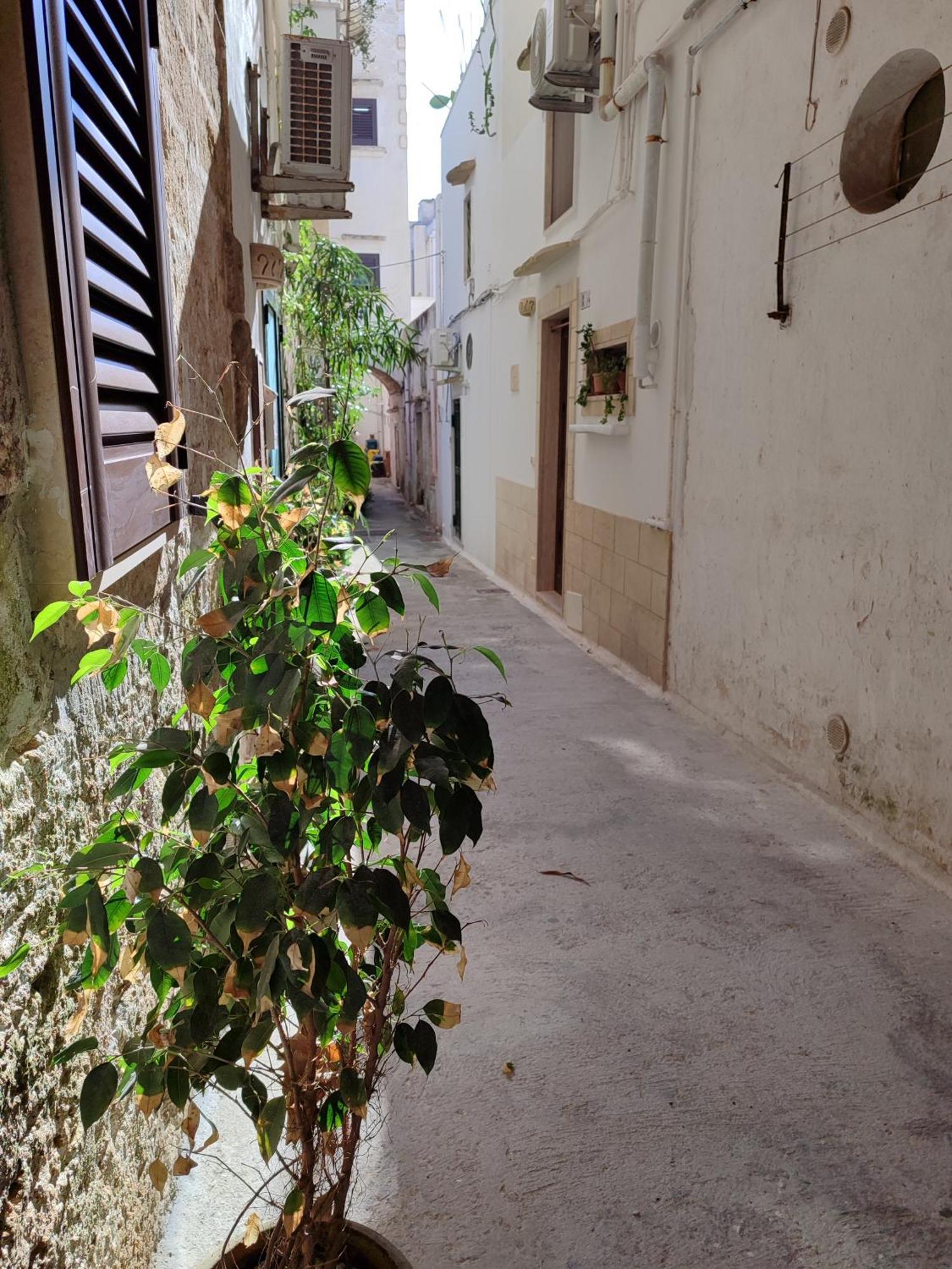 B&B Punta Cutieri Gallipoli Zewnętrze zdjęcie