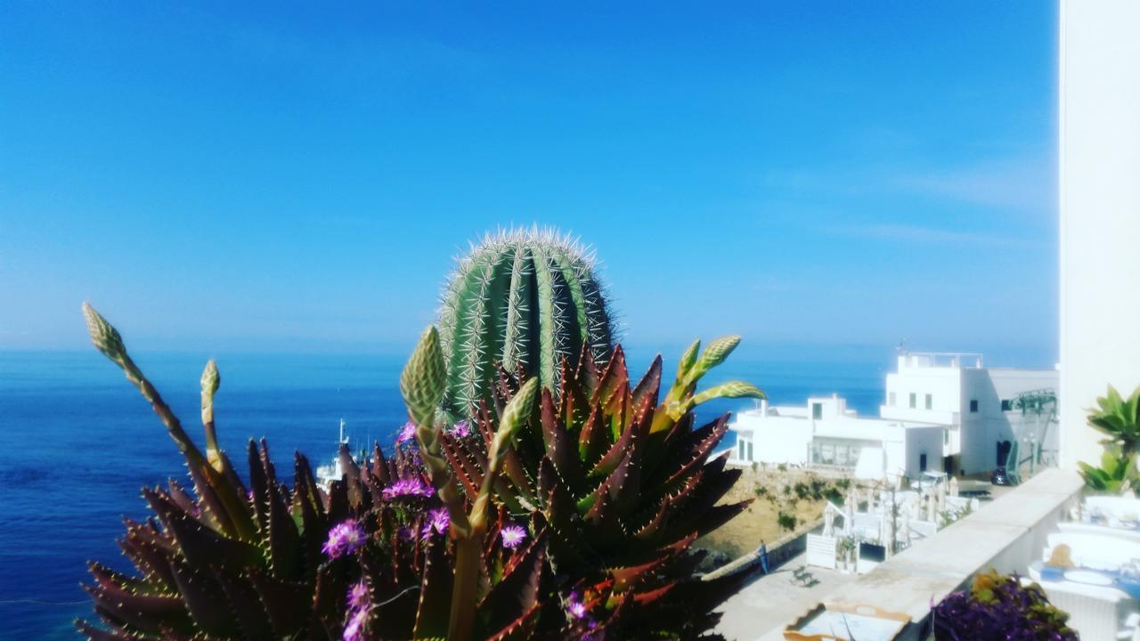 B&B Punta Cutieri Gallipoli Zewnętrze zdjęcie
