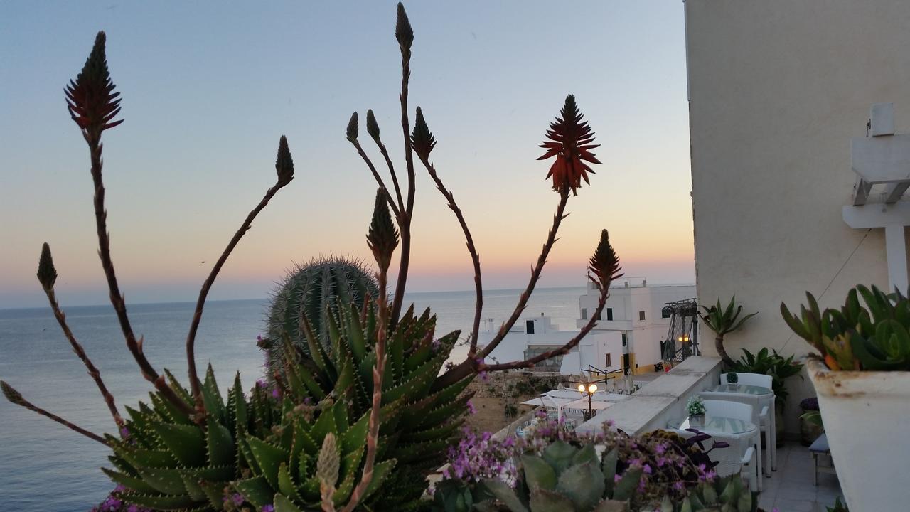 B&B Punta Cutieri Gallipoli Zewnętrze zdjęcie