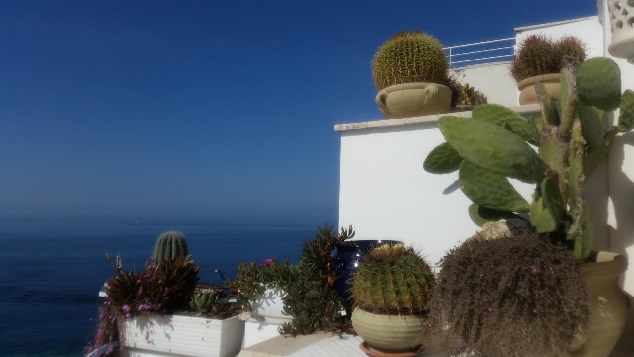 B&B Punta Cutieri Gallipoli Zewnętrze zdjęcie
