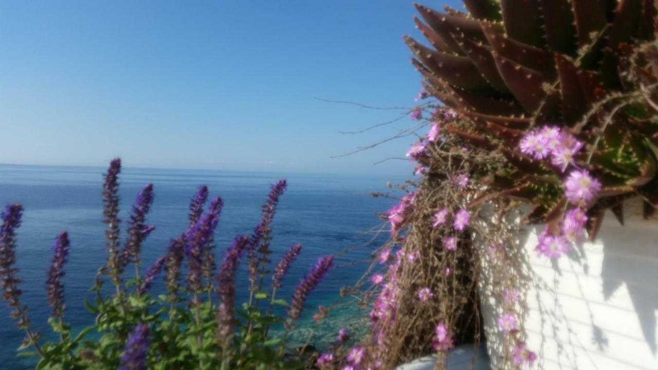 B&B Punta Cutieri Gallipoli Zewnętrze zdjęcie